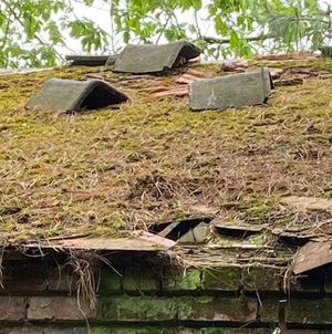 The loose and damaged roof tiles that are threatening the safety of visitors to Graseley Old Hall.