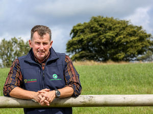 Supporting image for story: Rugby legend turned cattle breeder to be top judge at upcoming Burwarton Show