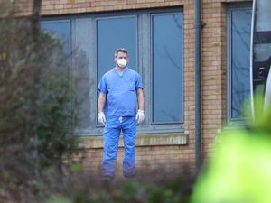 Supporting image for story: Coronavirus: The key events so far