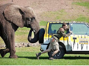 Supporting image for story: New meaning to trunk road