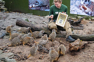 Supporting image for story: Not so simples! Census begins at Dudley Zoo