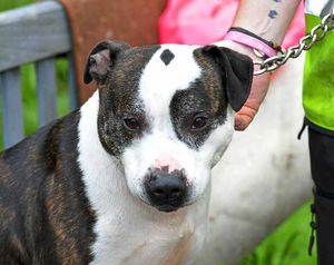 Long-time resident Barney