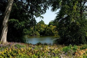 BM - 028 - Plenty of gorgeous views hidden away along many of the paths in the local Staffordshire area