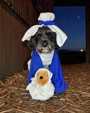 Peggy as Mary from Dunfermline. 