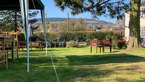 Willows Cafe. Photo: Willows Cafe/Google