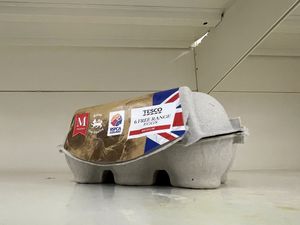 Supporting image for story: Tesco begins restocking 12-egg packs online after long-running supply issues