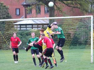 Supporting image for story: Ludlow Colts chalk up another win