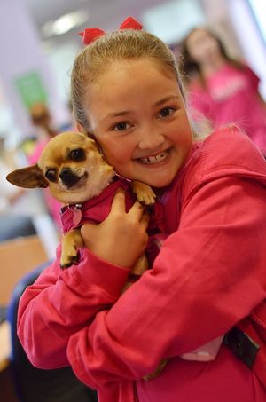 Supporting image for story