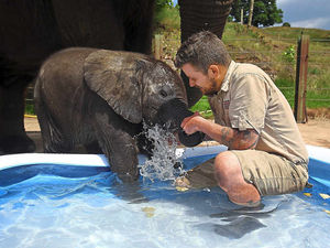 Supporting image for story: West Midland Safari Park seeks 200 seasonal staff