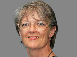 Supporting image for story: Councillors should be criminally checked