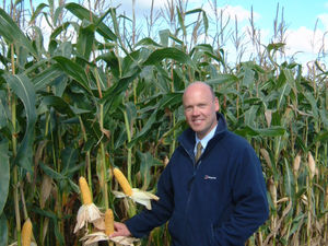 Supporting image for story: Lessons aplenty from maize 2020