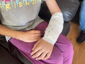 Supporting image for story: Man arrested after 11-year-old injured in attack by American bully XL dog