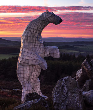 Clarion the Polar Bear by Bamber Hawes. Picture: Andrew Fusek Peters
