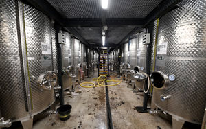 More than 170 vats can be found on the site
