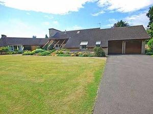 Supporting image for story: Homes of the Week: The March House