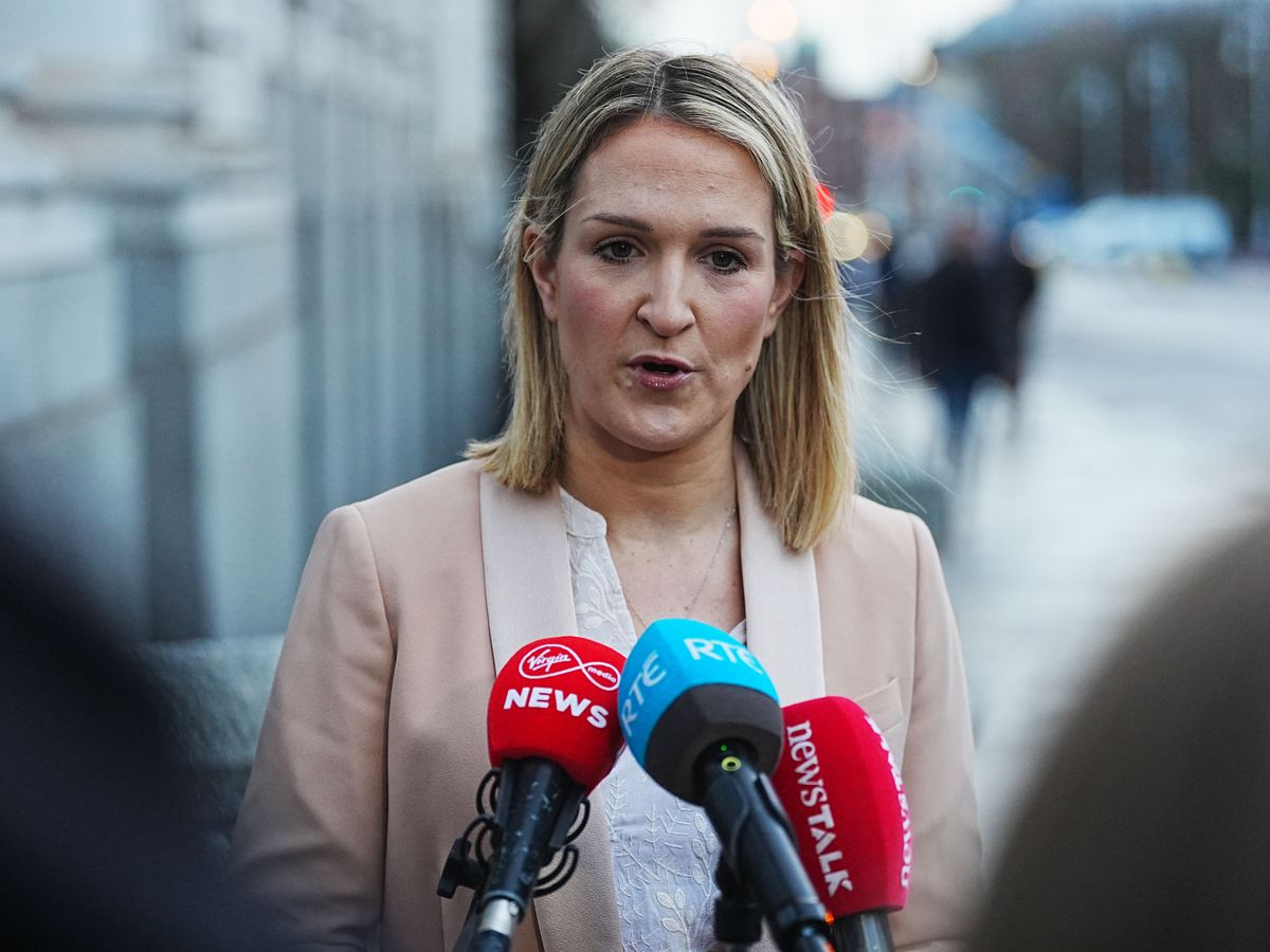 Irish Government agreed on ‘red flags’ with Donald Trump’s Board of Peace