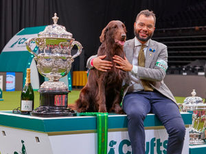 Supporting image for story: Tickets officially on sale as Crufts gets ready for 2023