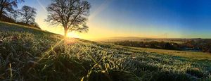 The beautiful fields of south Shropshire in the morning frost. Picture taken by Tom Middleton, Onibury