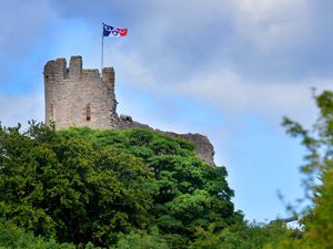 Supporting image for story: Dudley local election preview: Marginal borough on a knife-edge again