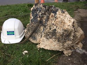 Supporting image for story: Three Black Country Nando's branches fitted with new Severn Trent equipment to stop fatbergs forming
