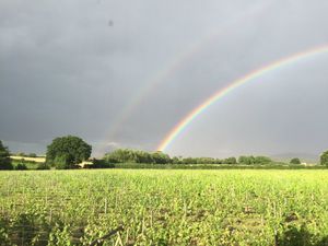 Double rainbow over Wroxeter Wines in Shrewsbury