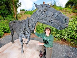 Supporting image for story: Bronze horse statue 'Fluffy' makes a comeback to Walsall Arboretum