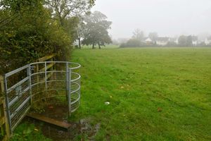 The land in St George's where the homes are proposed
