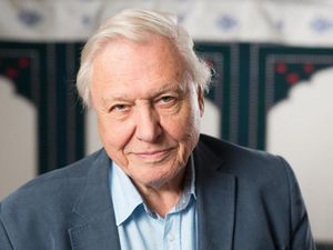 Supporting image for story: A 100-million-year-old damselfly has been named after Sir David Attenborough