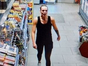 Supporting image for story: Police teams continue to search for missing woman