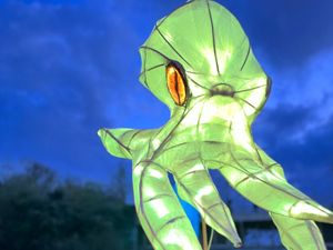 Supporting image for story: Wolverhampton lantern parade set to light up area of city 