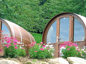 Supporting image for story: Ironbridge Gorge camping pods scheme backed