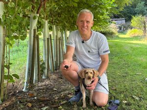 Supporting image for story: Professor’s joy as truffle is grown on Isle of Bute in ‘landmark’ moment