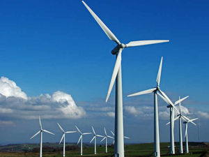 Supporting image for story: Letter: Spare forest and put windfarms out at sea