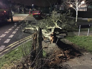 Supporting image for story: PICTURED: Injured occupants flee scene of overturned car smash