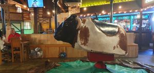 For those fancying a bit of a ride, there is the mechanical bull