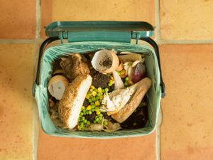 Supporting image for story: Food waste collections in Dudley promised as council announces deadline for it to start