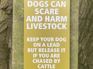 Supporting image for story: Shropshire Farming Talk: CLA urges public to keep dogs under control 