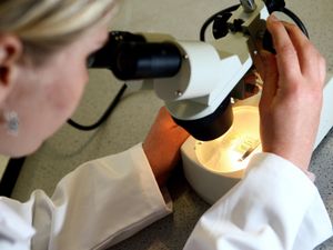 Supporting image for story: Researchers hail ‘very encouraging’ potential coronavirus treatment