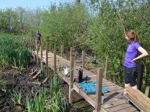Volunteers repair the boardwalk in August
