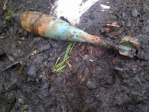 Supporting image for story: Chaos on the trains as Shrewsbury to Wrexham line closed after mortar found near railway