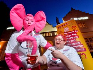 Supporting image for story: Pub tackles pink elephant in room