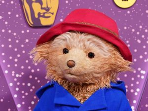 Supporting image for story: Paddington covers Bafta in marmalade as he presents ‘sticky’ trophy