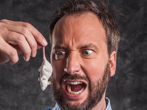 Supporting image for story: Tom Green to perform in Birmingham