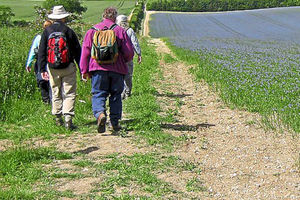 Supporting image for story: Shropshire hidden gems on new rambling route