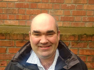 Supporting image for story: Cows looking forward to their days in the sun