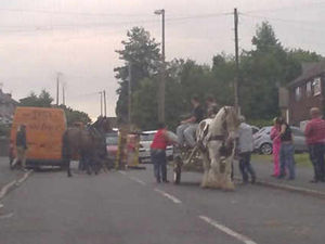 Supporting image for story: Horse and cart custom under fire after crash