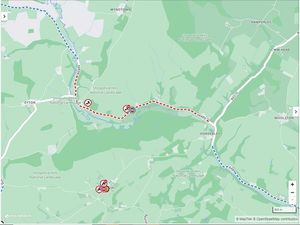 Supporting image for story: South Shropshire A-road to shut for over a month to fell diseased trees