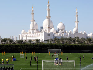 Supporting image for story: Wolves forging closer links in the Arabian sun