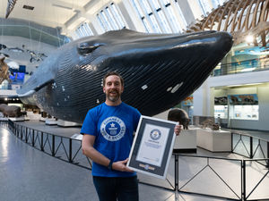 Supporting image for story: Man sets world record for most museums visited in 24 hours