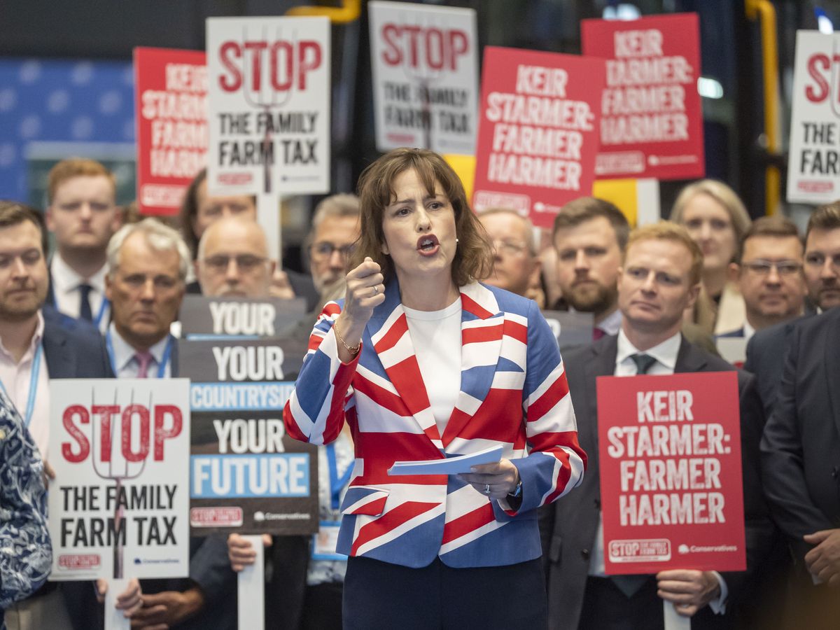 Reform would threaten &lsquo;survivability&rsquo; of farmers with US trade deal, says Atkins
